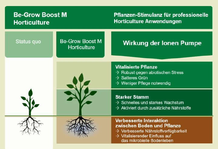 Be-Grow Boost M